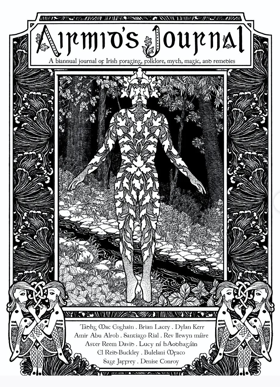 Airmid's Journal Lughnasa cover