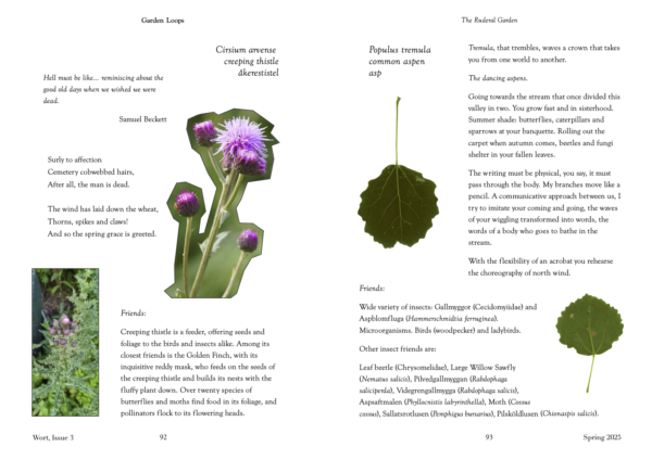 Two Page inner spread from Wort Issue 3 showing fragments from the Ruderal Garden Hyperlocal Compendium with cut out photo images of Creeping Thistle and Aspen