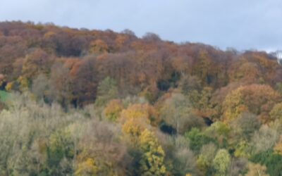 Thinning the Veil: Embodied Practices of Ancestral Connection