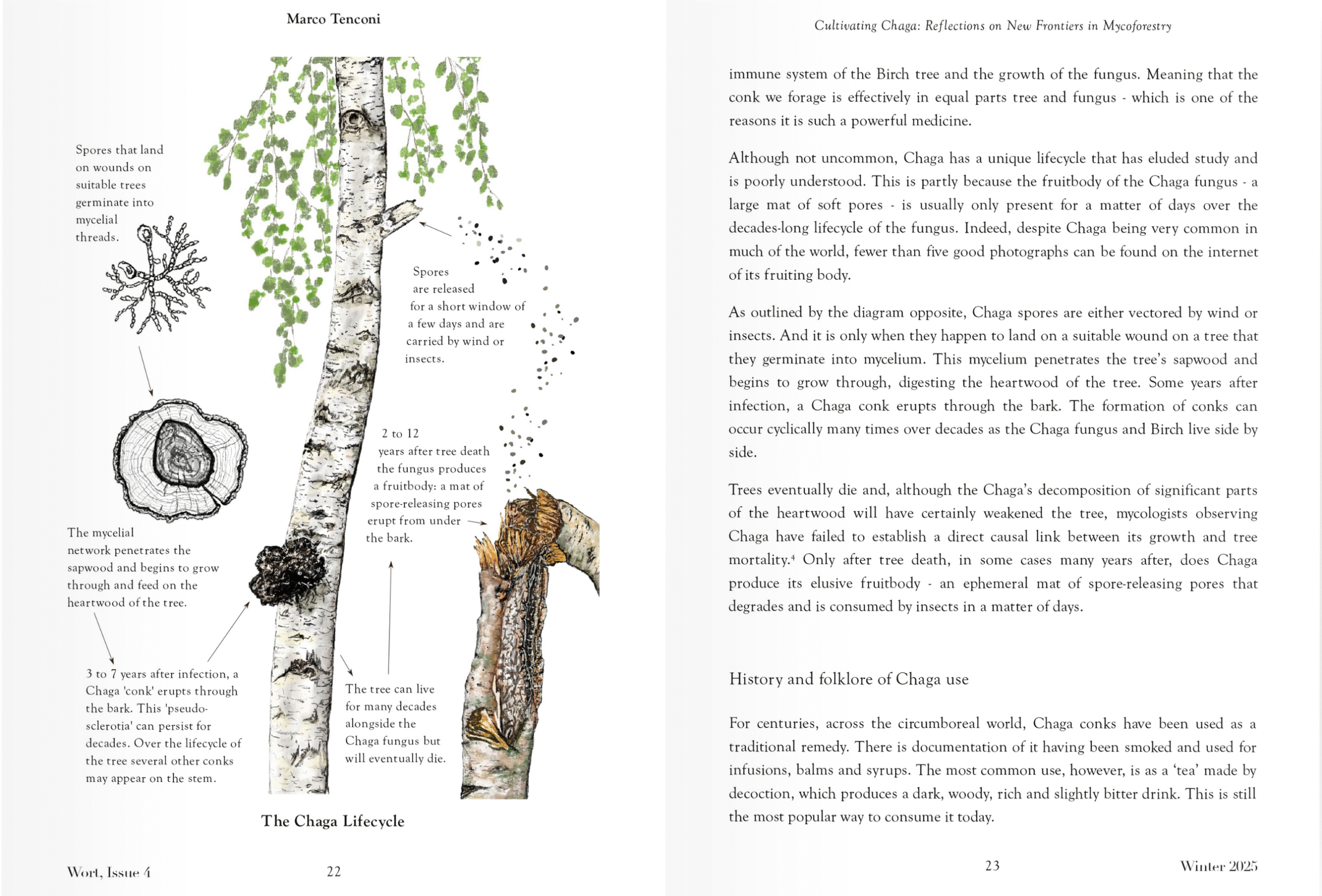 Wort Issue Four - Image 2