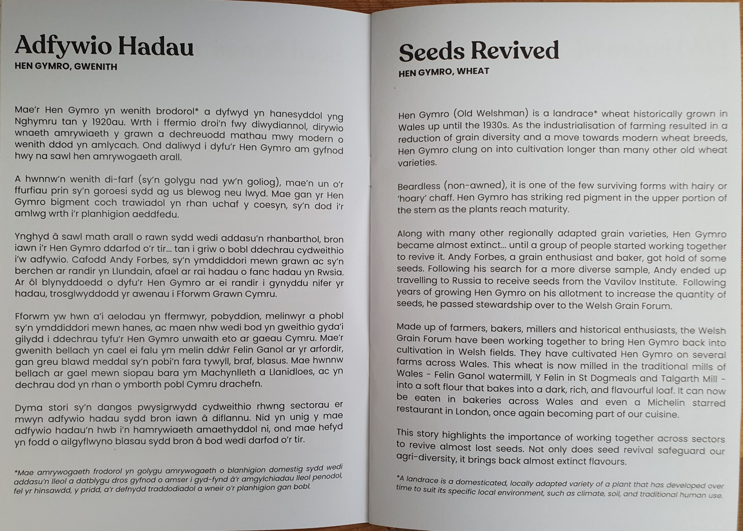 Hanes Hadau Cymreig / Welsh Seed Lore - Image 3
