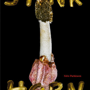 Stinkhorn - How Nature's Most Foul Smelling Mushroom Can Change the World