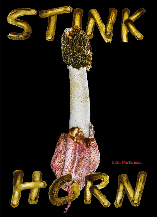 Stinkhorn - How Nature's Most Foul Smelling Mushroom Can Change the World