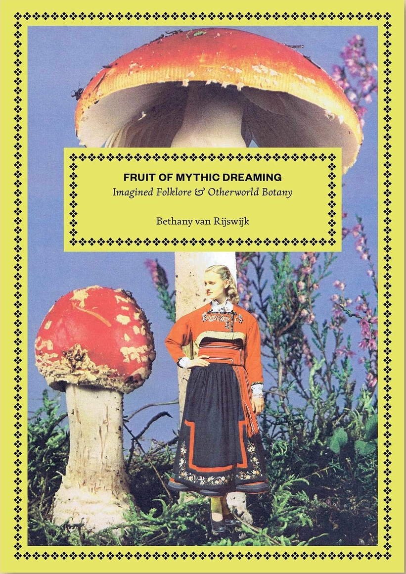 Front cover image for Airmid's Journal 'Teanga' issue, with pen and ink illustration depicting a bird sitting on a branch with a wisp of song escaping its beak.