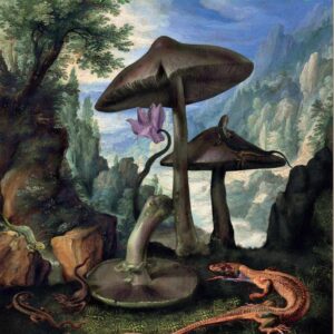 Mushroom People, Vol 1