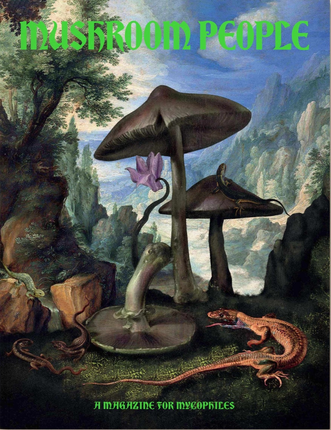 Mushroom People, Vol 1