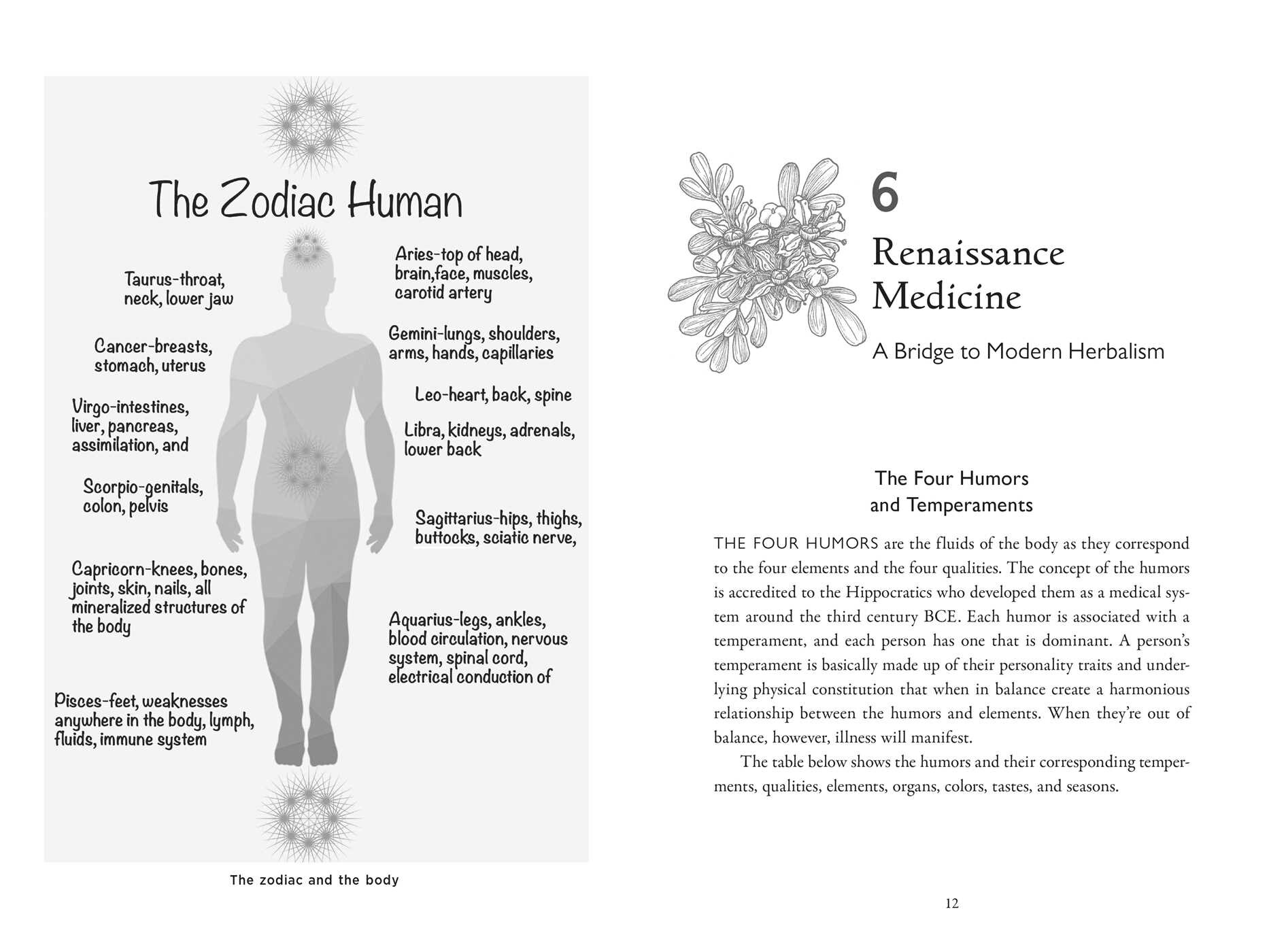 Della Medicina - The Tradition of Italian-American Folk Healing - Image 6