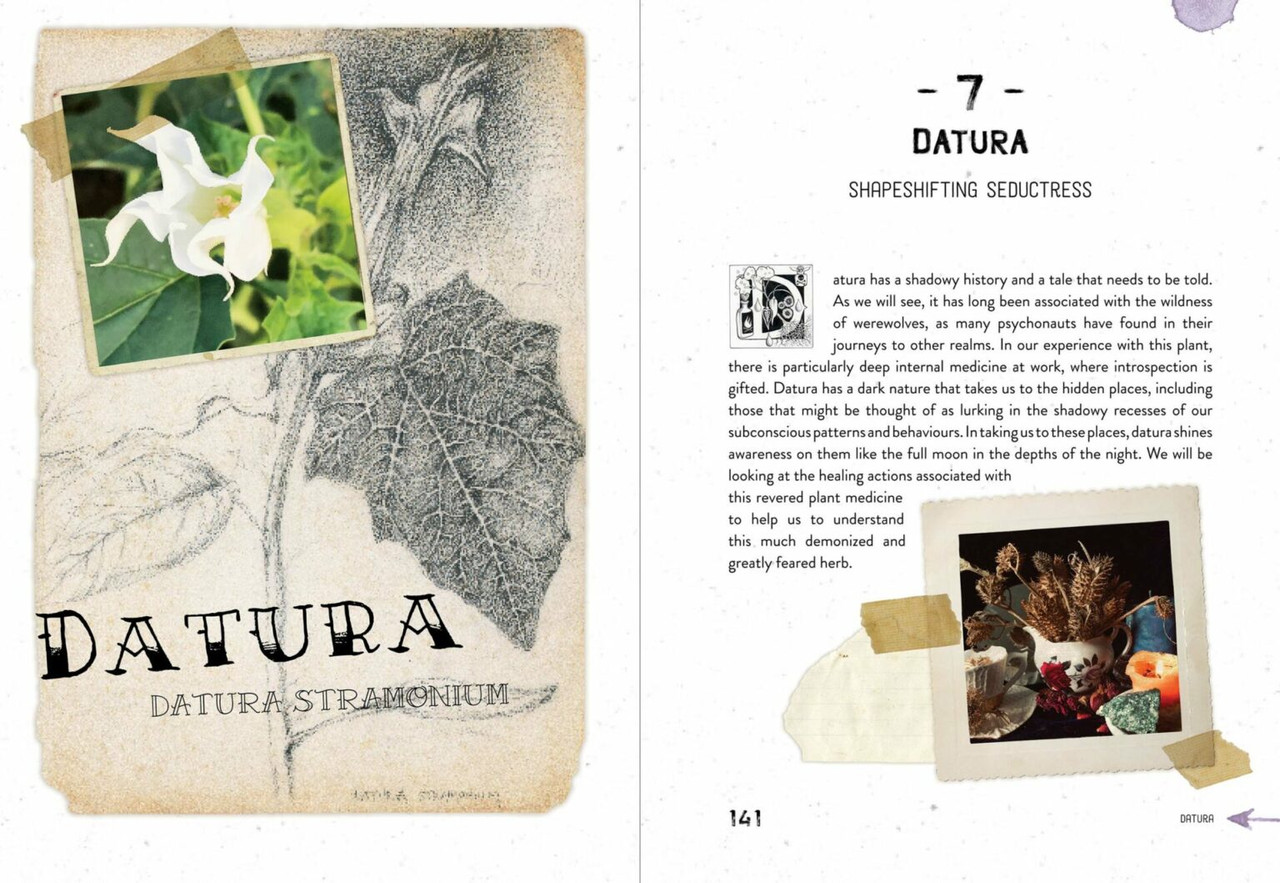 Poison Prescriptions - Image 4