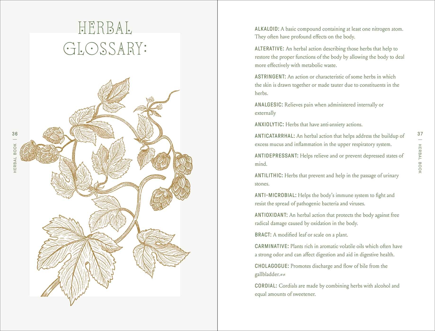 The Complete Folk Herbal - An Illustrated Guide to Natural Remedies and Everyday Healing - Image 3