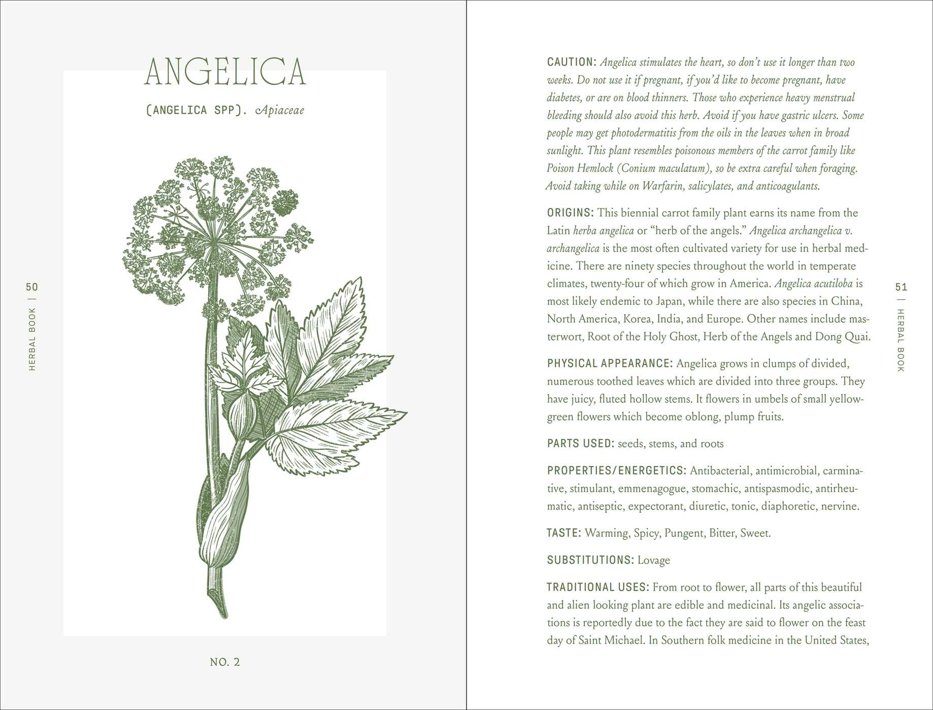 The Complete Folk Herbal - An Illustrated Guide to Natural Remedies and Everyday Healing - Image 4