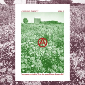 A Common Treasury, Issue 1