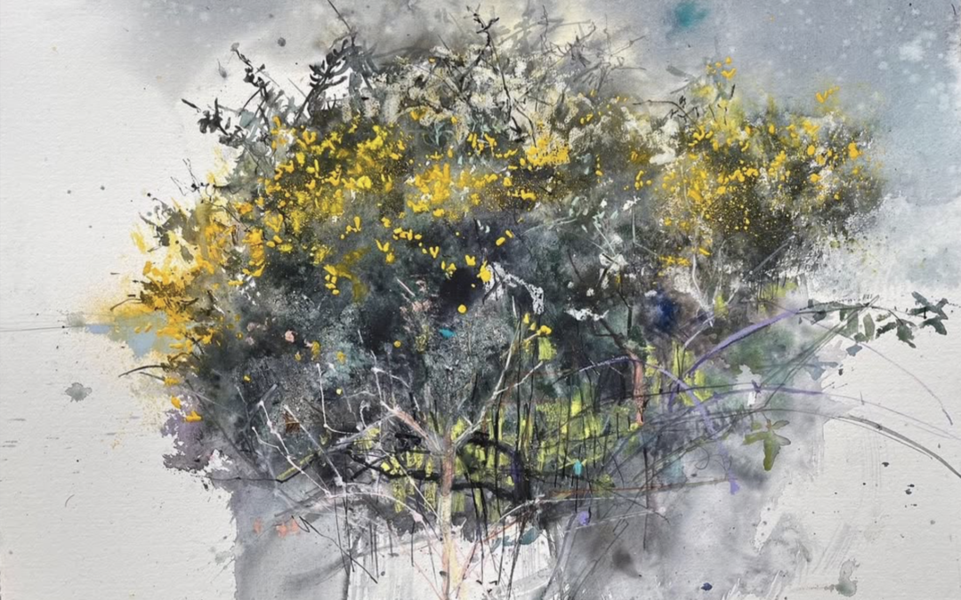 Herbal Poems of Long Winter Nights, IV: Gorse