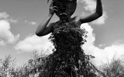 Herbal Poems of Long Winter Nights, III: Mugwort Root