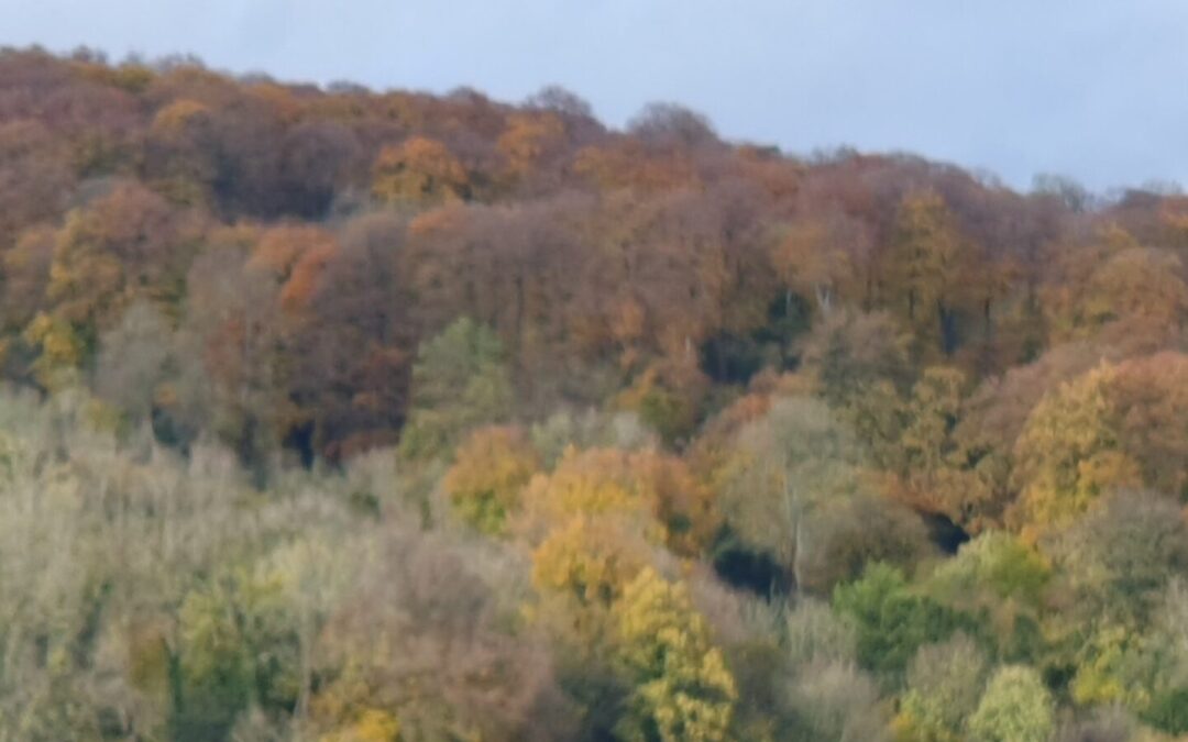 Thinning the Veil: Embodied Practices of Ancestral Connection