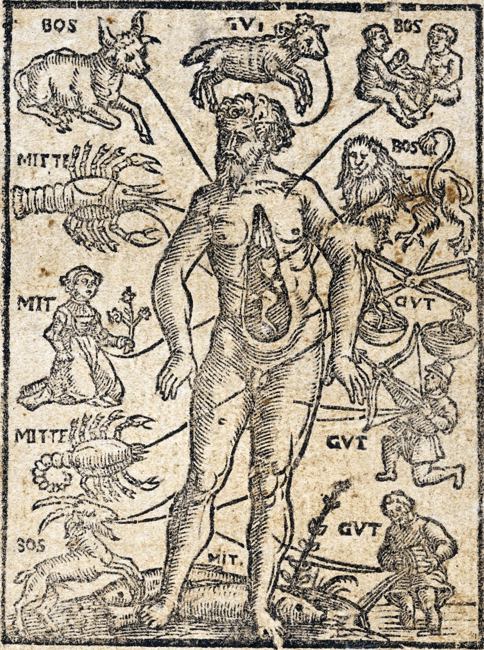A 1580 woodcut showing the zones of the body acccording to their astrological rulerships. 