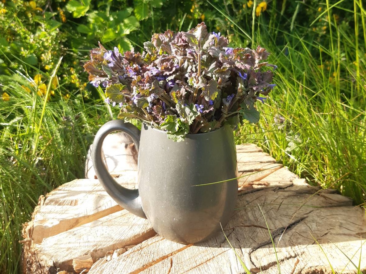 A bunch of ground ivy in a metal tankard against a backdrop of spring wildflowers.