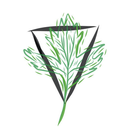 An astroherbal glyph showing a water symbol with a Hawthorn leaf. 