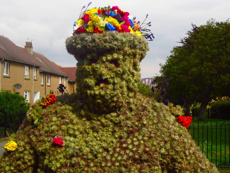 A close up profile of the Burryman with flower crown and completely obscured by sticky Burdock burrs.
