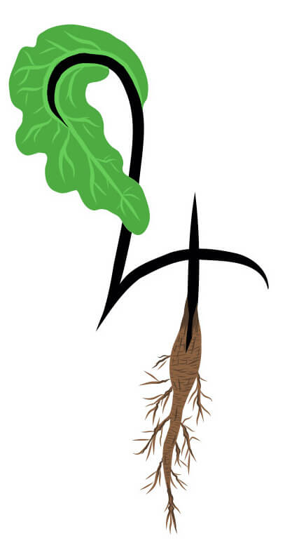 Astroherbal Glyph showing...