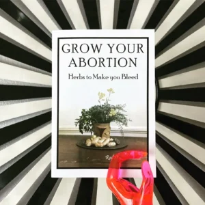 Front cover of grow your abortion zine, featuring a plant in a pot, against an exploding black and white striped background.
