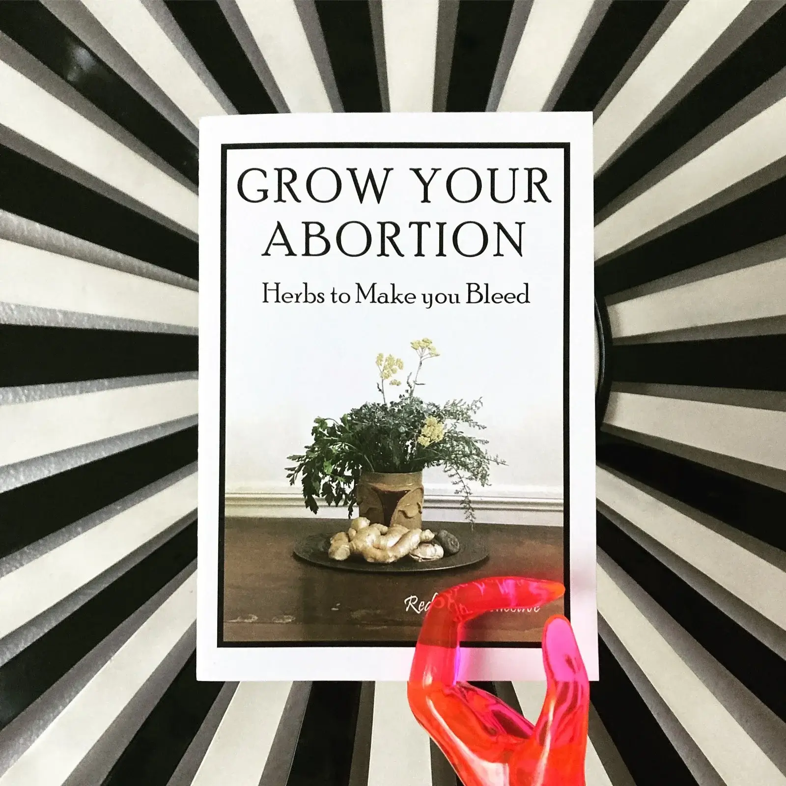 Front cover of grow your abortion zine, featuring a plant in a pot, against an exploding black and white striped background.